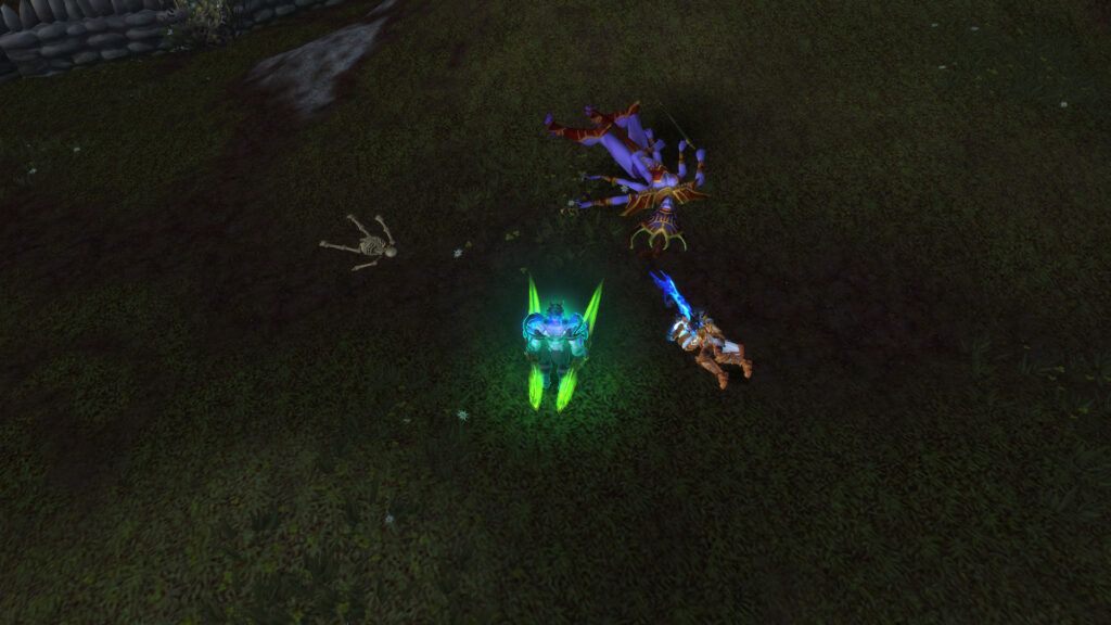 WoW the night elf and the dead player